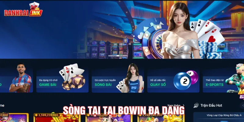 Bomwin quy tụ hàng loạt siêu phẩm đầy kịch tính